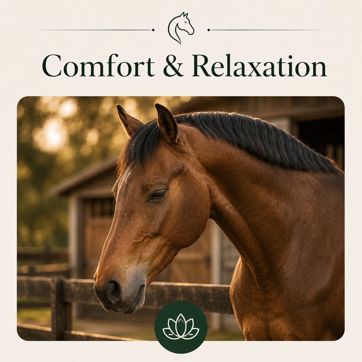 Comfort & Relaxation