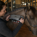 Quachton Restore™ Equine Recovery Massager