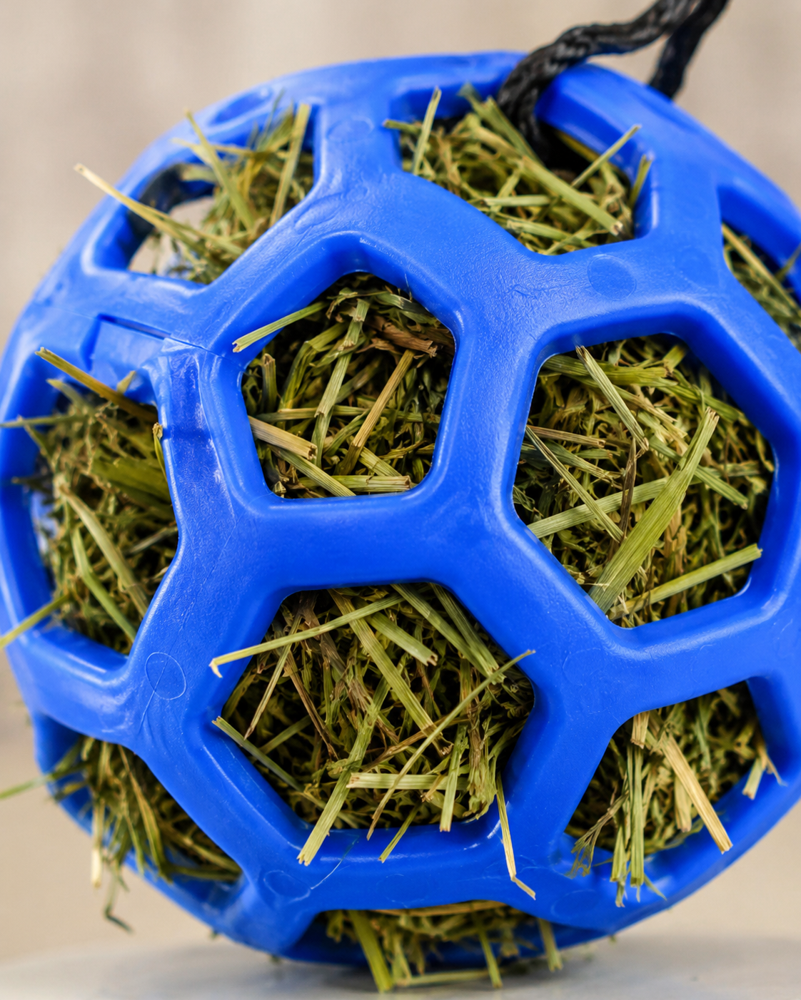 Quachton™ Hanging Hay Feeder Treat Ball