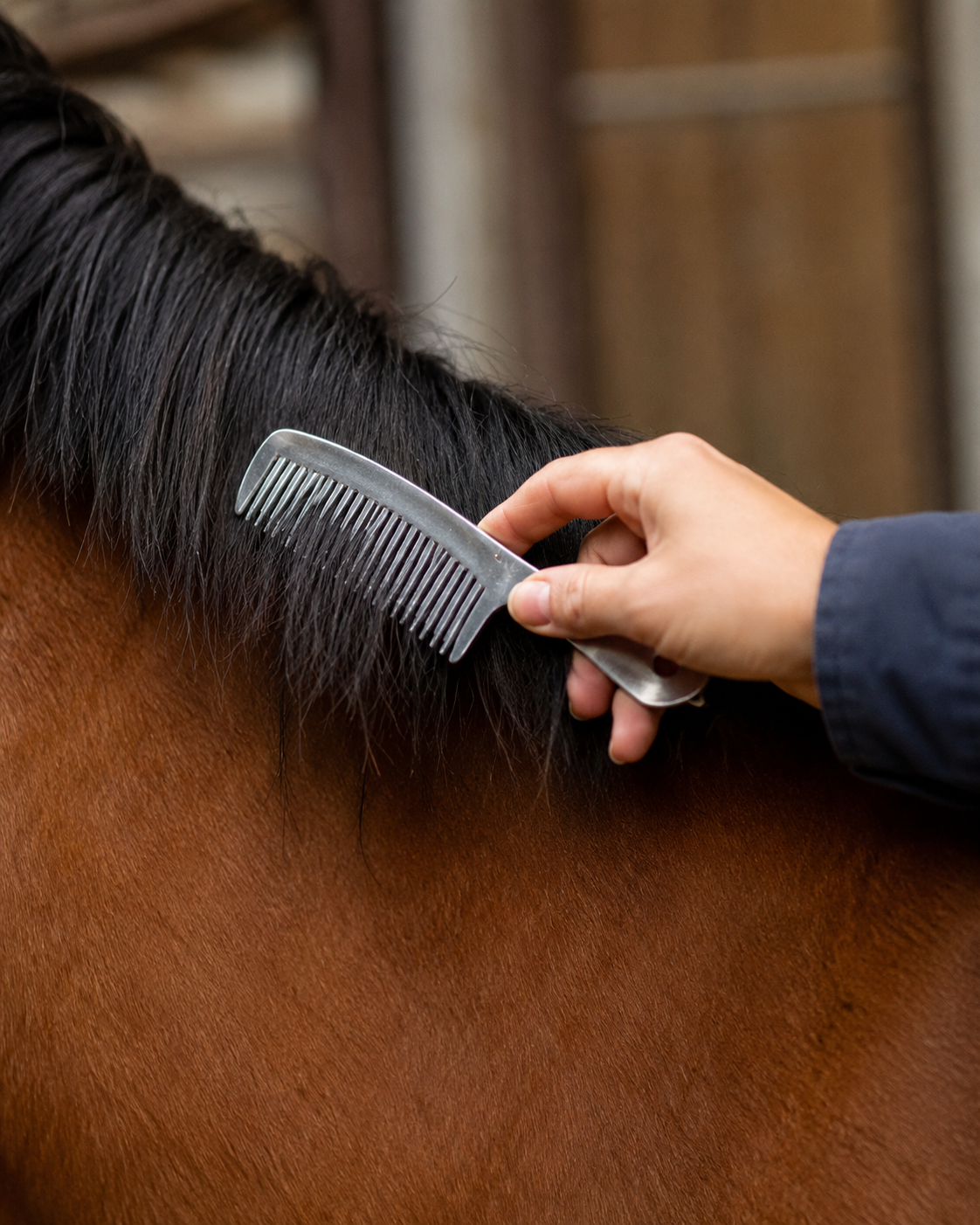 Quachton™ 9-Piece Horse Grooming Kit with Carry Tote
