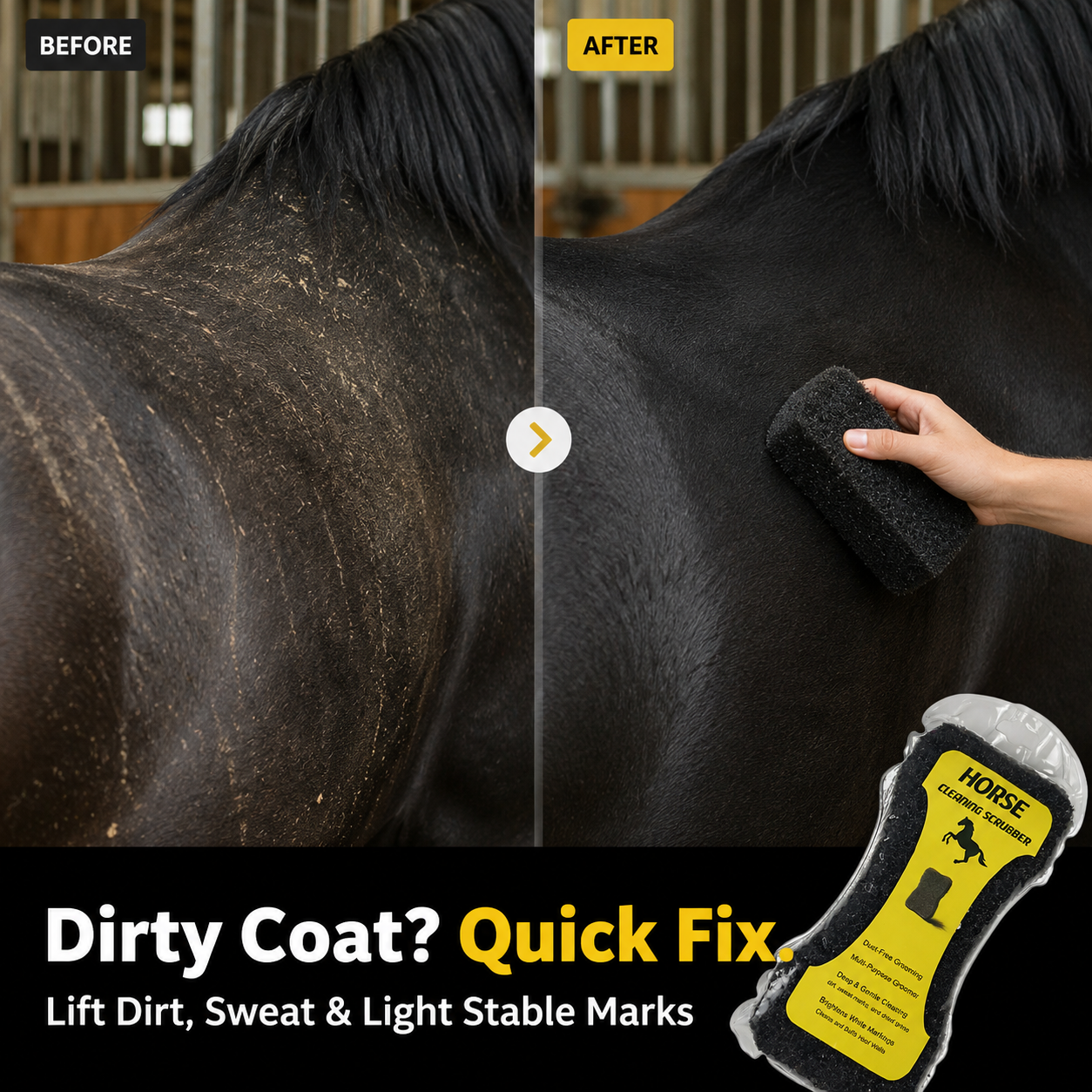 Quachton™ Professional Horse Grooming Brush & Sponge Set