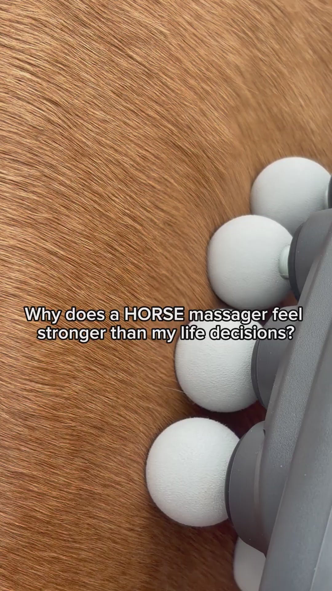 Quachton Restore™ Equine Recovery Massager